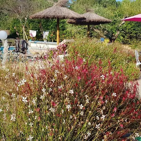 Cosy Avec Piscine A Foret - 15 M² - Parking Inclus * Bussac-Foret