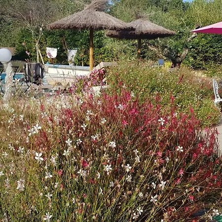 Cosy A Avec Piscine Partagee 15 M² * Bussac-Foret