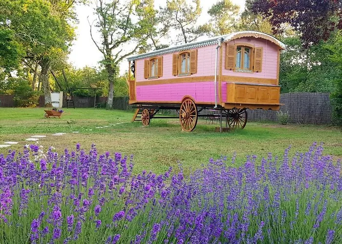 Cosy A Avec Piscine Partagee 15 M² * Bussac-Foret